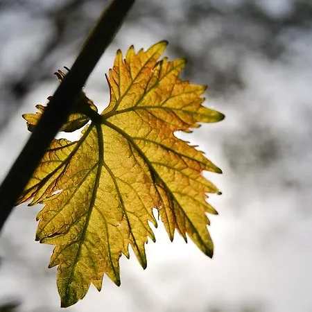 Rustichino 3* Giano dellʼUmbria